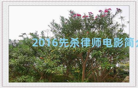 2016先杀律师电影简介