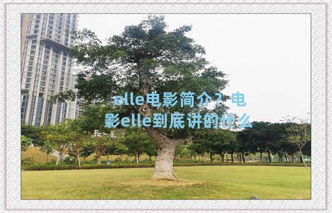 elle电影简介？电影elle到底讲的什么