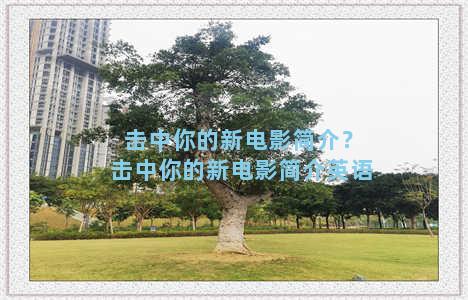 击中你的新电影简介？击中你的新电影简介英语