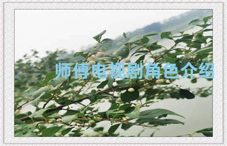 师傅电视剧角色介绍