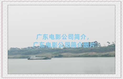 广东电影公司简介，广东电影公司简介图片