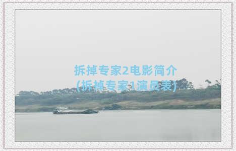 拆掉专家2电影简介(拆掉专家1演员表)