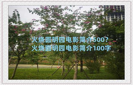 火烧圆明园电影简介500？火烧圆明园电影简介100字