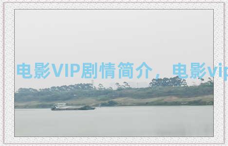 电影VIP剧情简介，电影vip剧情简介