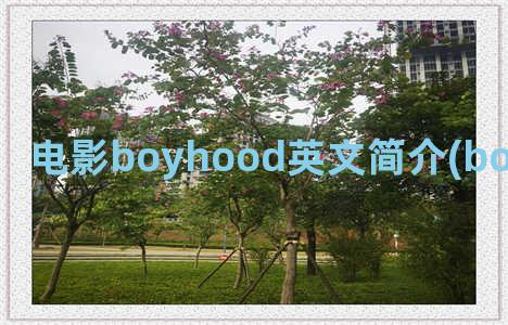 电影boyhood英文简介(boyhood电影台词)