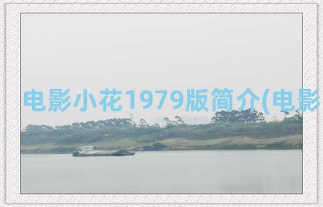 电影小花1979版简介(电影《小花》)