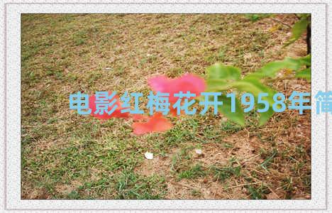 电影红梅花开1958年简介