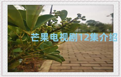 芒果电视剧12集介绍