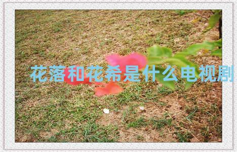 花落和花希是什么电视剧人物