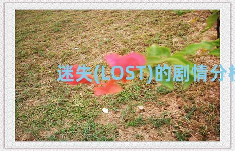 迷失(LOST)的剧情分析