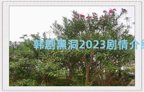 韩剧黑洞2023剧情介绍